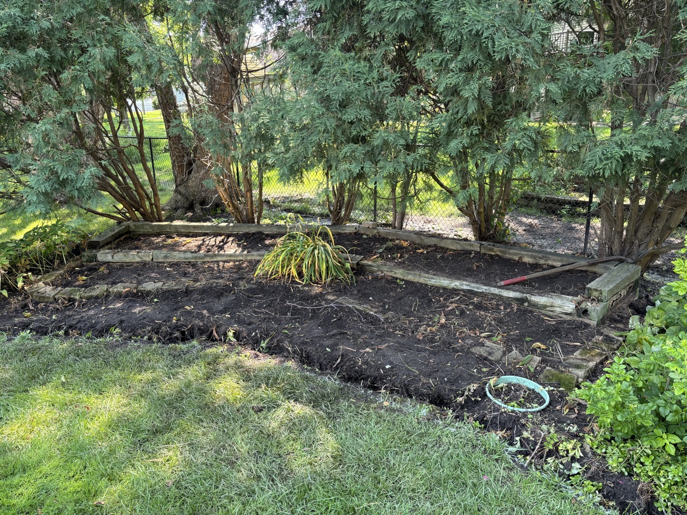 Freshly mulched landscape bed edged along a lawn