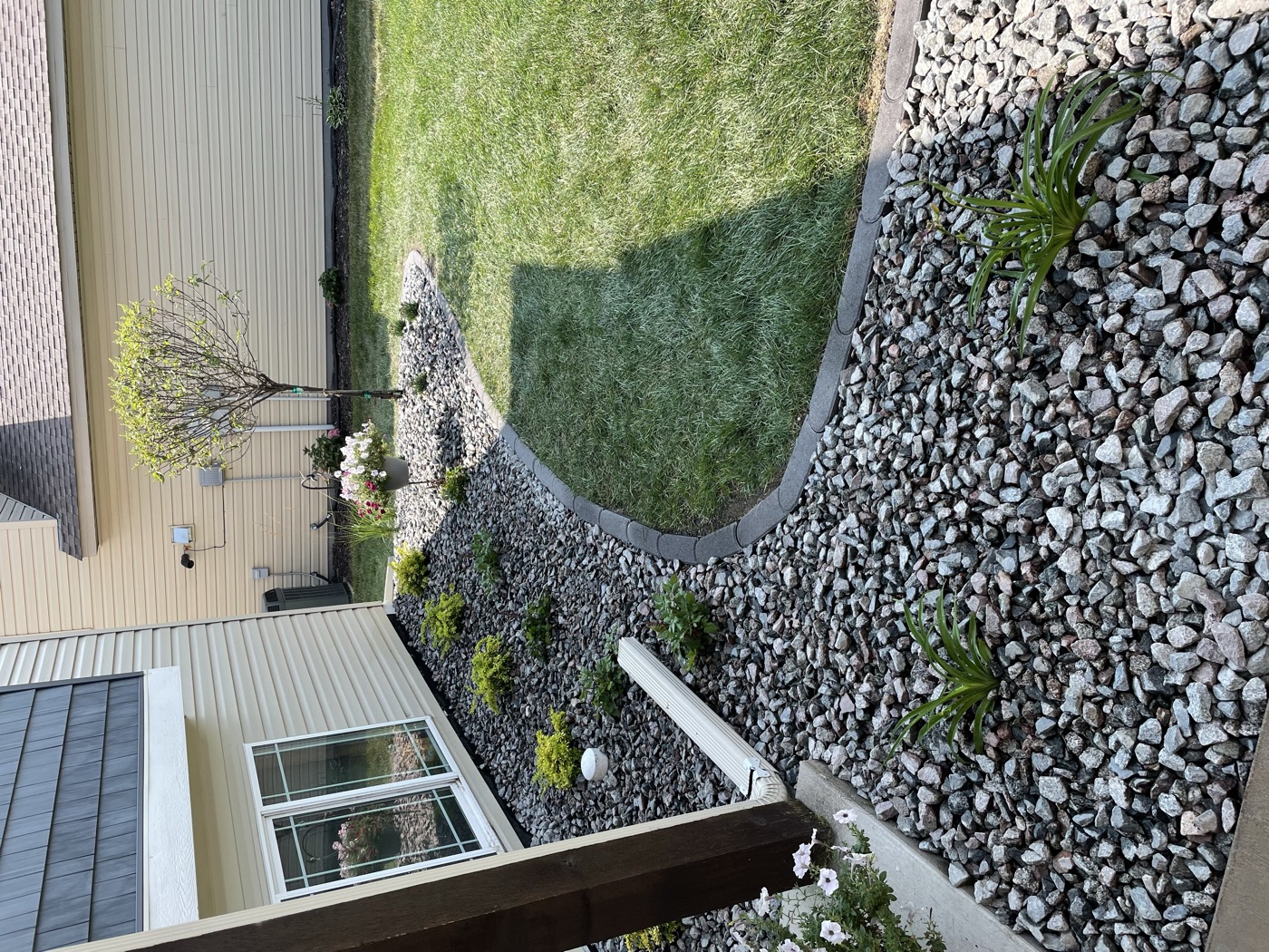 Decorative river rock bed with paver edging beside a fresh lawn